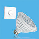 DIM PAR30-S SERIES BULB
