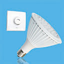 DIM PAR38 SERIES BULB