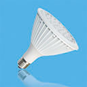 PAR38 LED LIGHT LONG BASE
